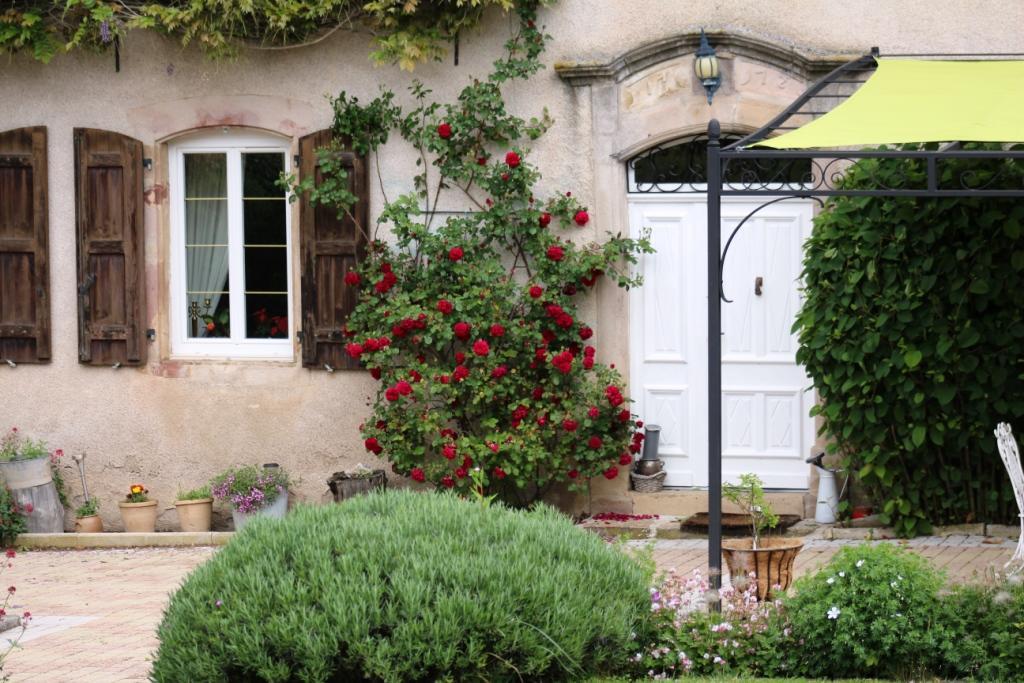 Le Clos D'Albray - Chambres D'Hotes Et Gite Comps-la-Grand-Ville Esterno foto